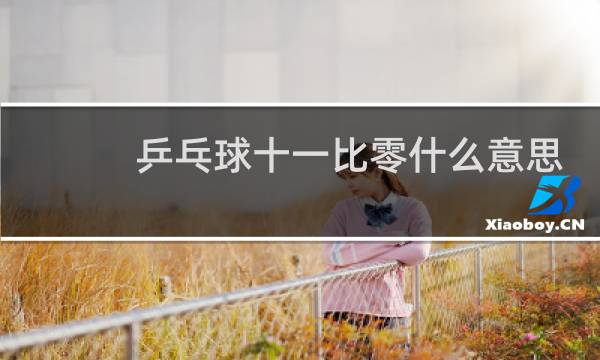 乒乓球十一比零什么意思