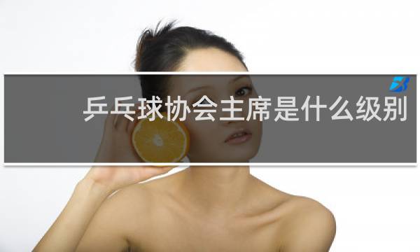 乒乓球协会主席是什么级别