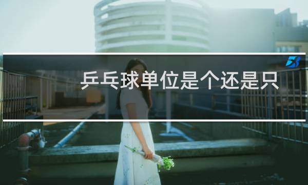 乒乓球单位是个还是只