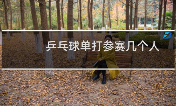 乒乓球单打参赛几个人
