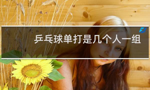 乒乓球单打是几个人一组