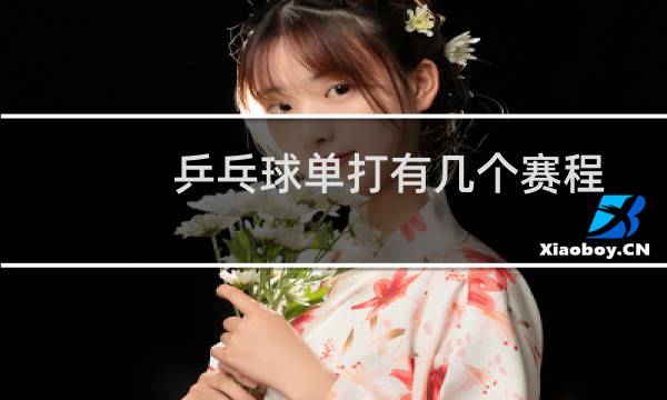 乒乓球单打有几个赛程