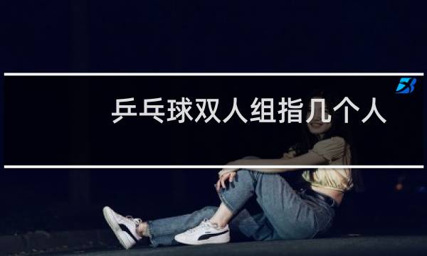 乒乓球双人组指几个人