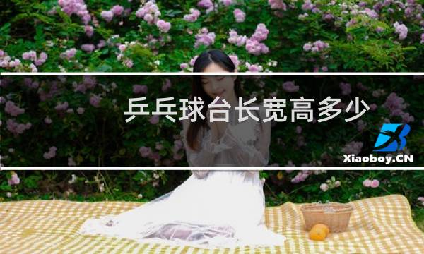 乒乓球台长宽高多少