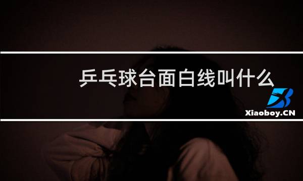 乒乓球台面白线叫什么