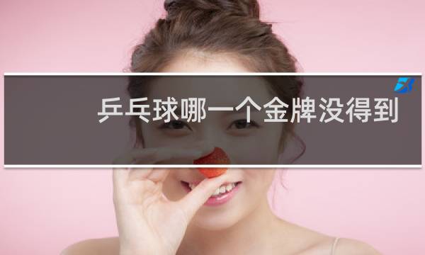 乒乓球哪一个金牌没得到