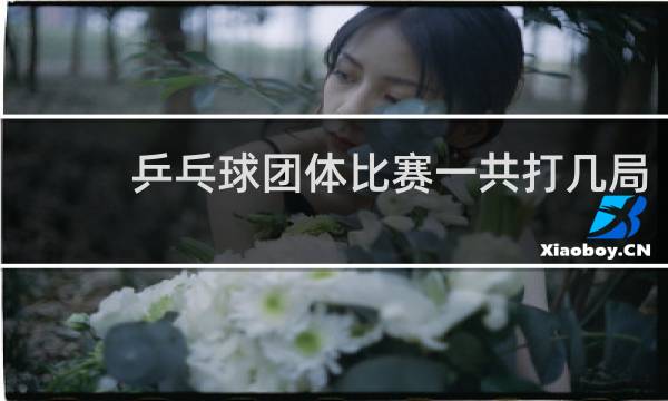 乒乓球团体比赛一共打几局