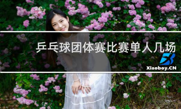 乒乓球团体赛比赛单人几场