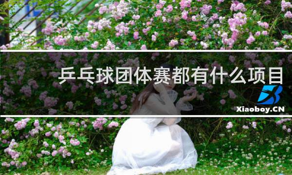 乒乓球团体赛都有什么项目