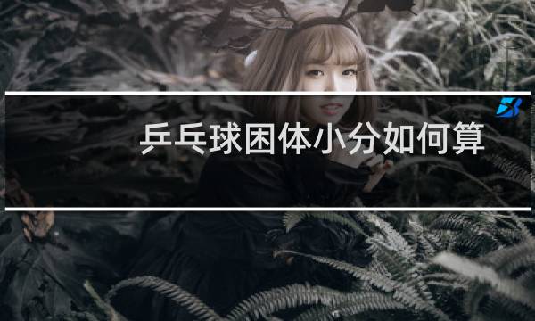 乒乓球困体小分如何算