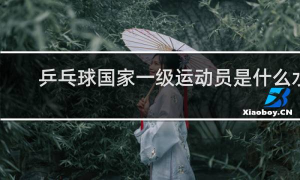 乒乓球国家一级运动员是什么水平