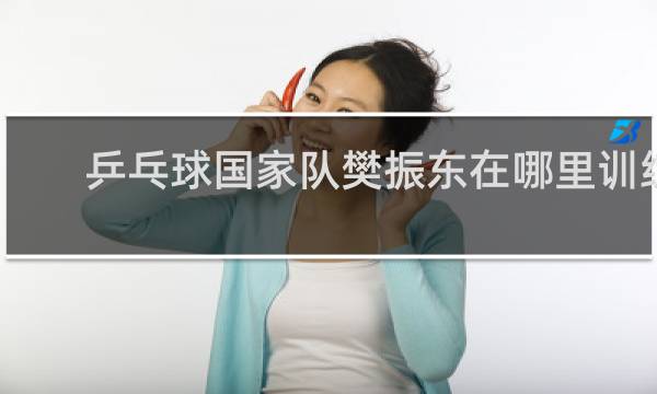 乒乓球国家队樊振东在哪里训练