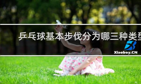乒乓球基本步伐分为哪三种类型