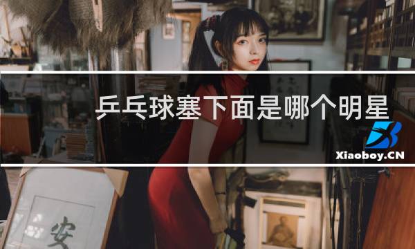 乒乓球塞下面是哪个明星