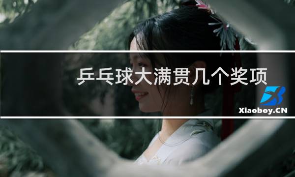 乒乓球大满贯几个奖项