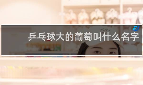 乒乓球大的葡萄叫什么名字