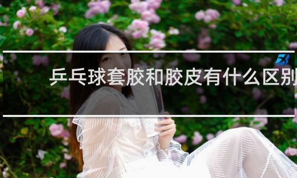 乒乓球套胶和胶皮有什么区别