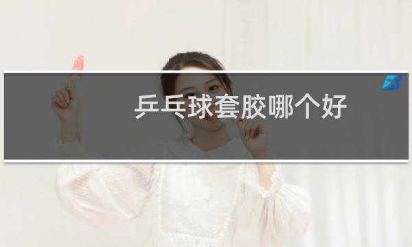乒乓球套胶哪个好