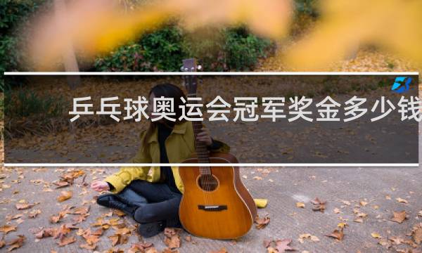 乒乓球奥运会冠军奖金多少钱