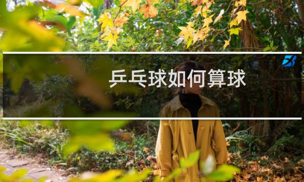 乒乓球如何算球