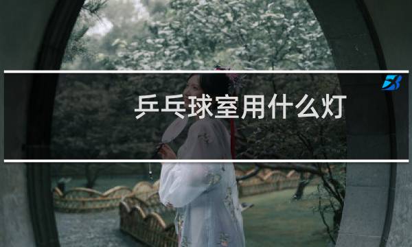 乒乓球室用什么灯