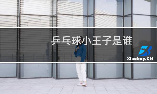 乒乓球小王子是谁