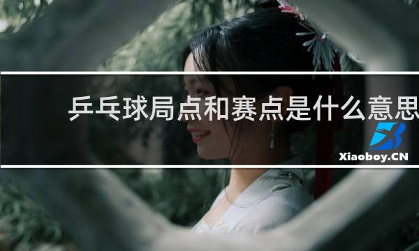 乒乓球局点和赛点是什么意思