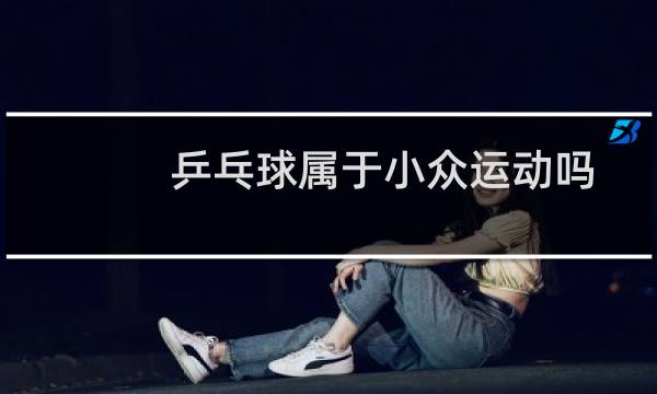 乒乓球属于小众运动吗