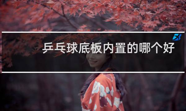 乒乓球底板内置的哪个好