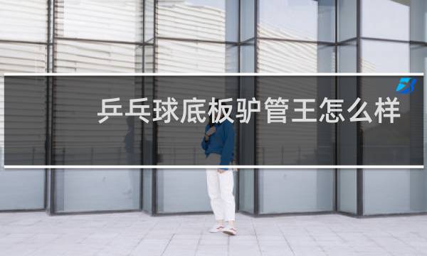 乒乓球底板驴管王怎么样