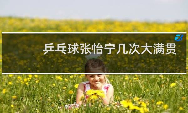 乒乓球张怡宁几次大满贯