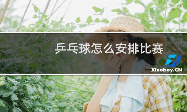 乒乓球怎么安排比赛