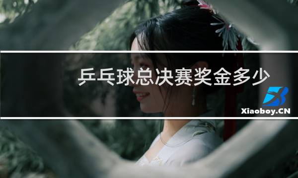 乒乓球总决赛奖金多少