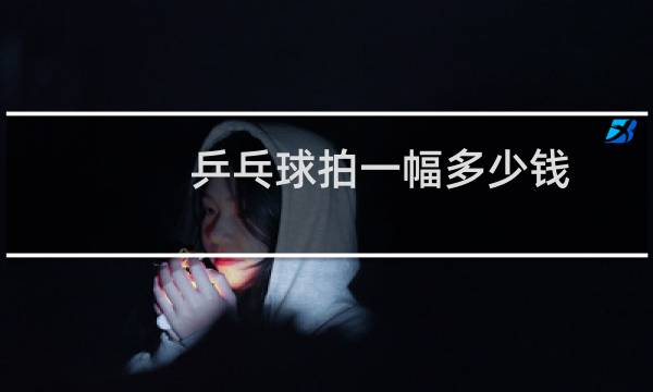 乒乓球拍一幅多少钱