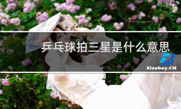乒乓球拍三星是什么意思