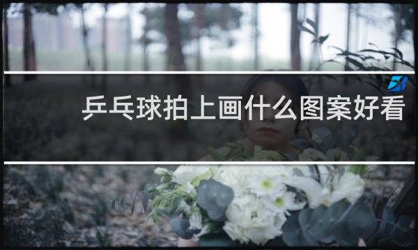 乒乓球拍上画什么图案好看