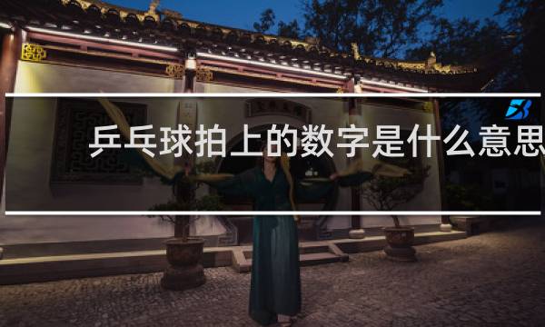 乒乓球拍上的数字是什么意思