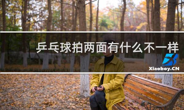 乒乓球拍两面有什么不一样