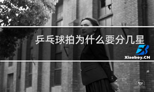乒乓球拍为什么要分几星