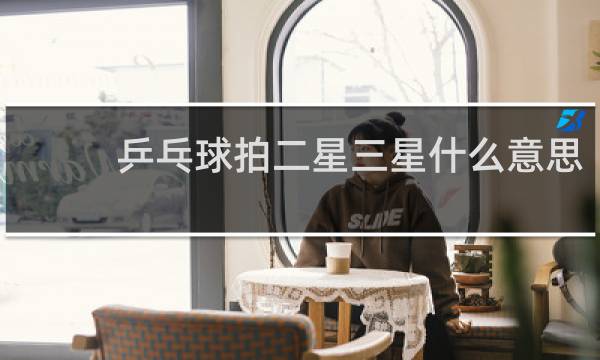 乒乓球拍二星三星什么意思