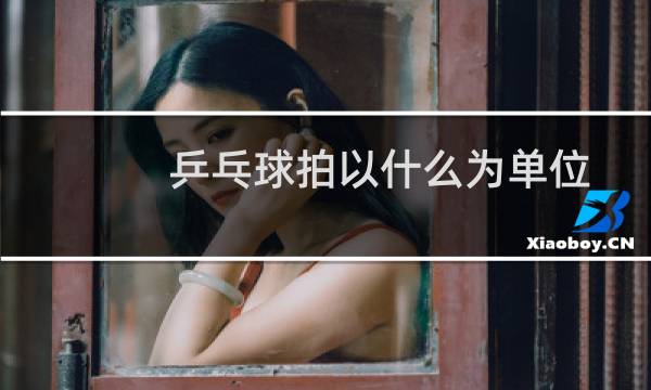 乒乓球拍以什么为单位