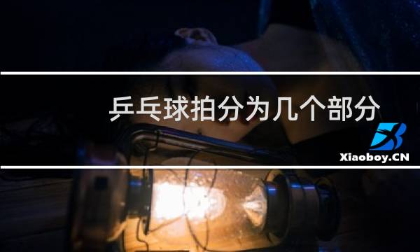 乒乓球拍分为几个部分