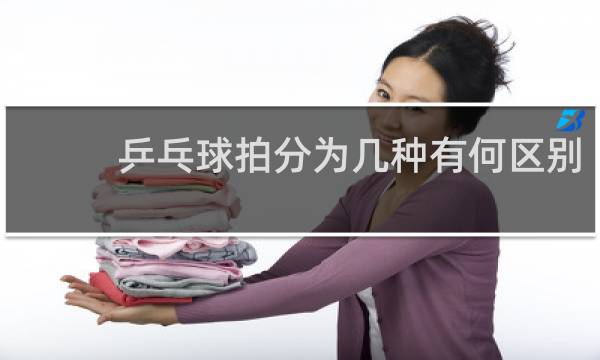 乒乓球拍分为几种有何区别