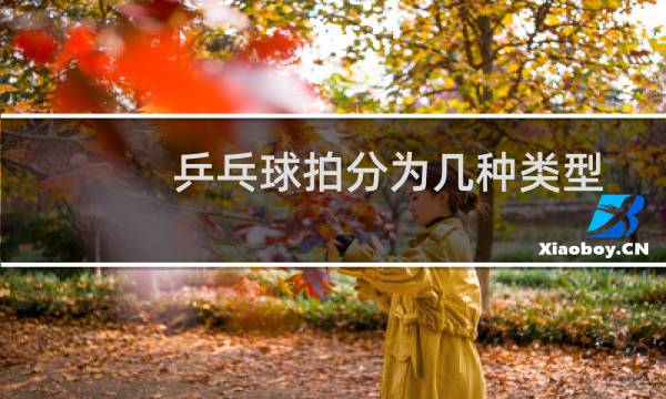 乒乓球拍分为几种类型