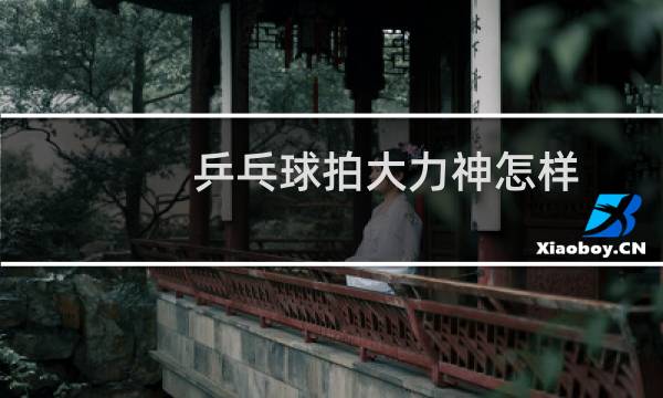 乒乓球拍大力神怎样