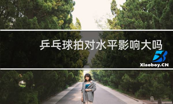 乒乓球拍对水平影响大吗