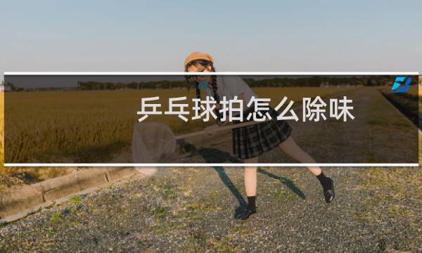 乒乓球拍怎么除味