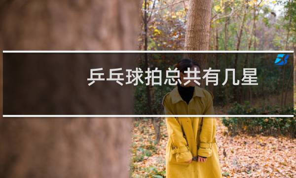 乒乓球拍总共有几星