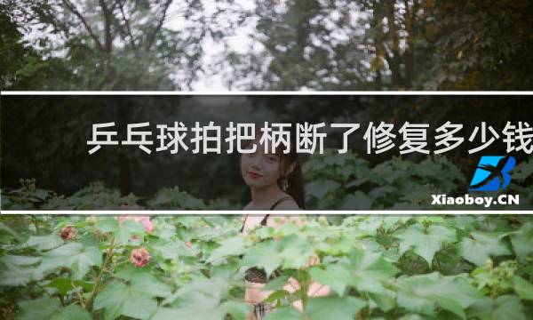 乒乓球拍把柄断了修复多少钱