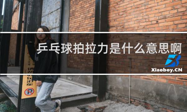 乒乓球拍拉力是什么意思啊